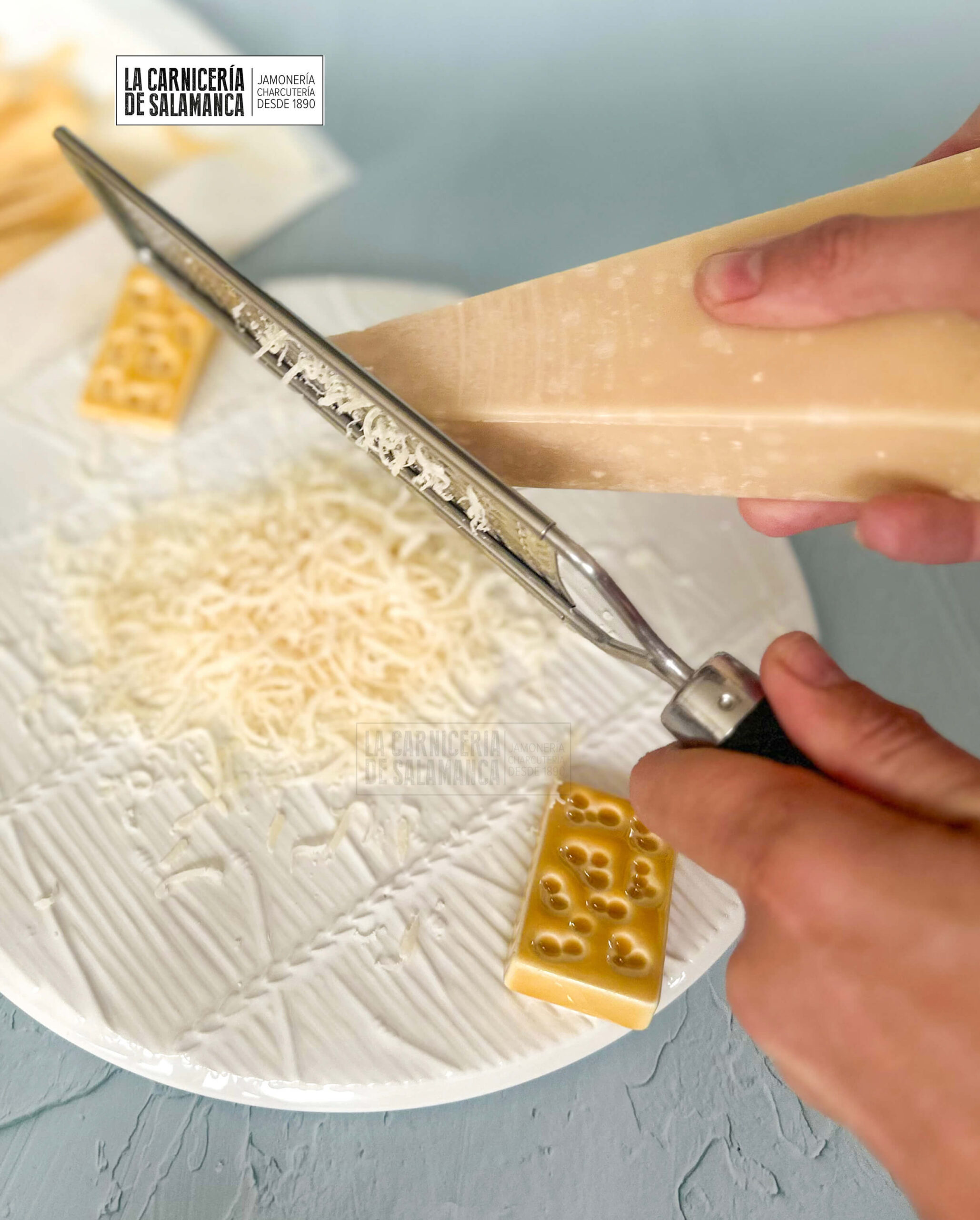 Detalle queso parmesano rallado, comprar online. Comprar queso parmesano original en La Carnicería de Salamanca, comprar queso online, queso parmesano a domicilio