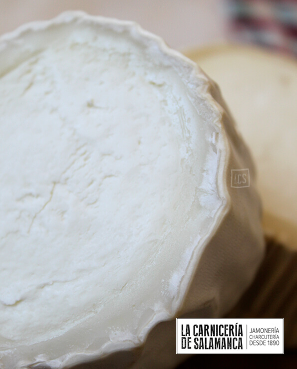 Detalle queso de cabra