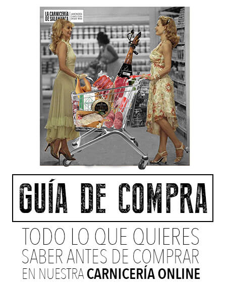 guia-de-compra-movil