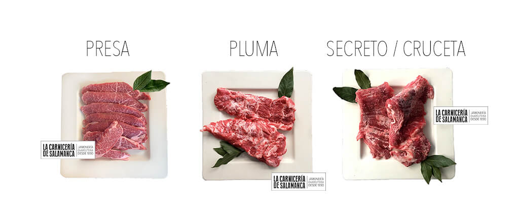 DIFERENCIA-PLUMA-SECRETO-PRESA