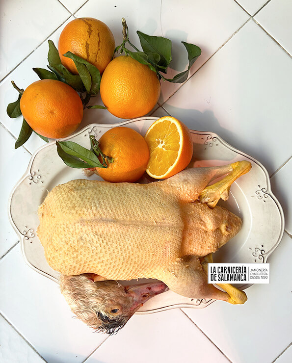 Pato fresco, comprar online