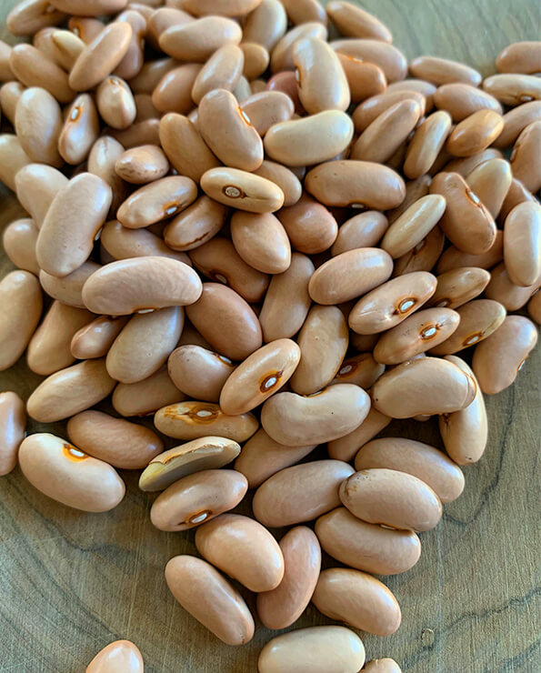 Detalle judía canela disponible para comprar online en La Carnicería de Salamanca