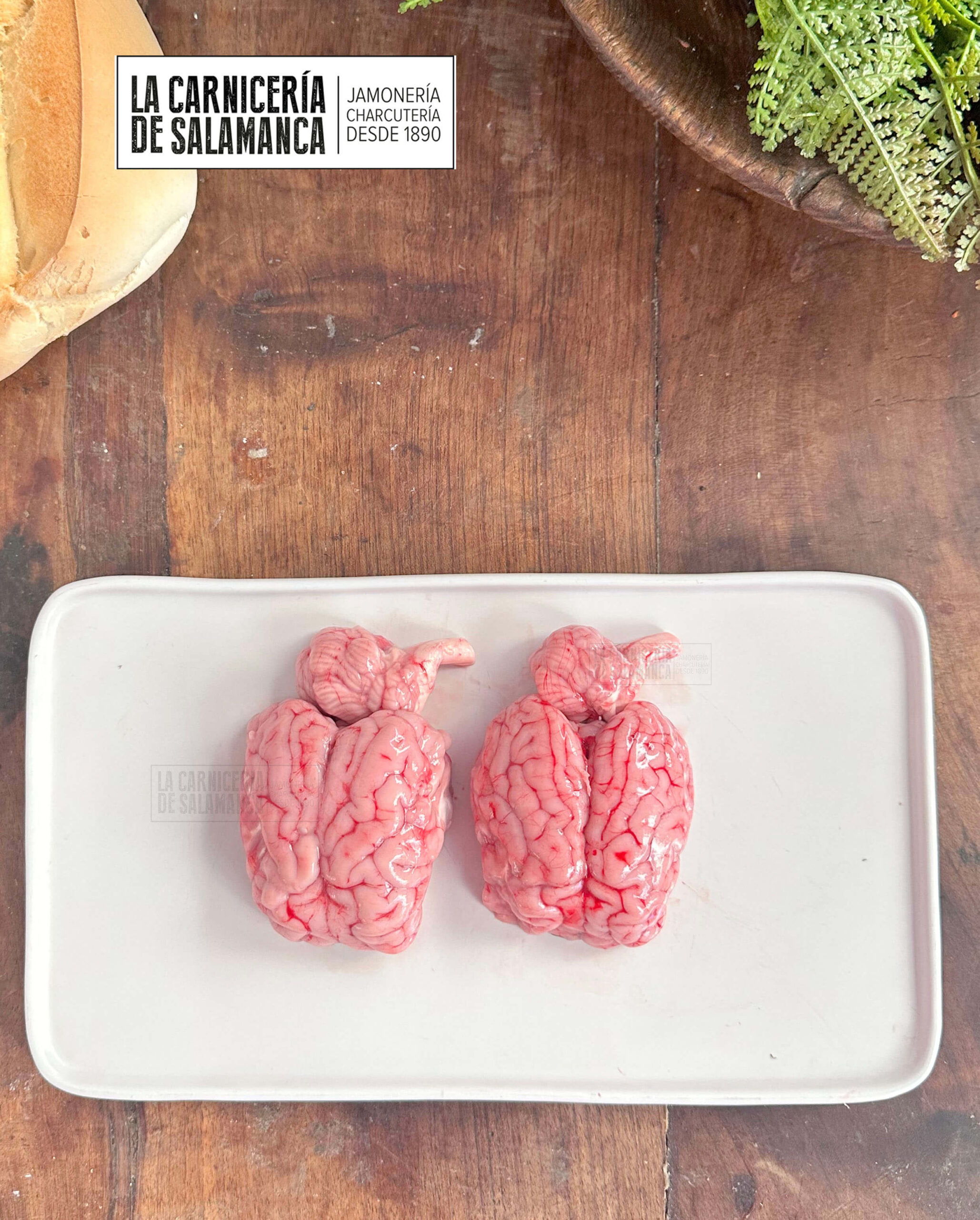 Sesos de cordero detalle, sesos de cordero lechal disponibles para comprar online