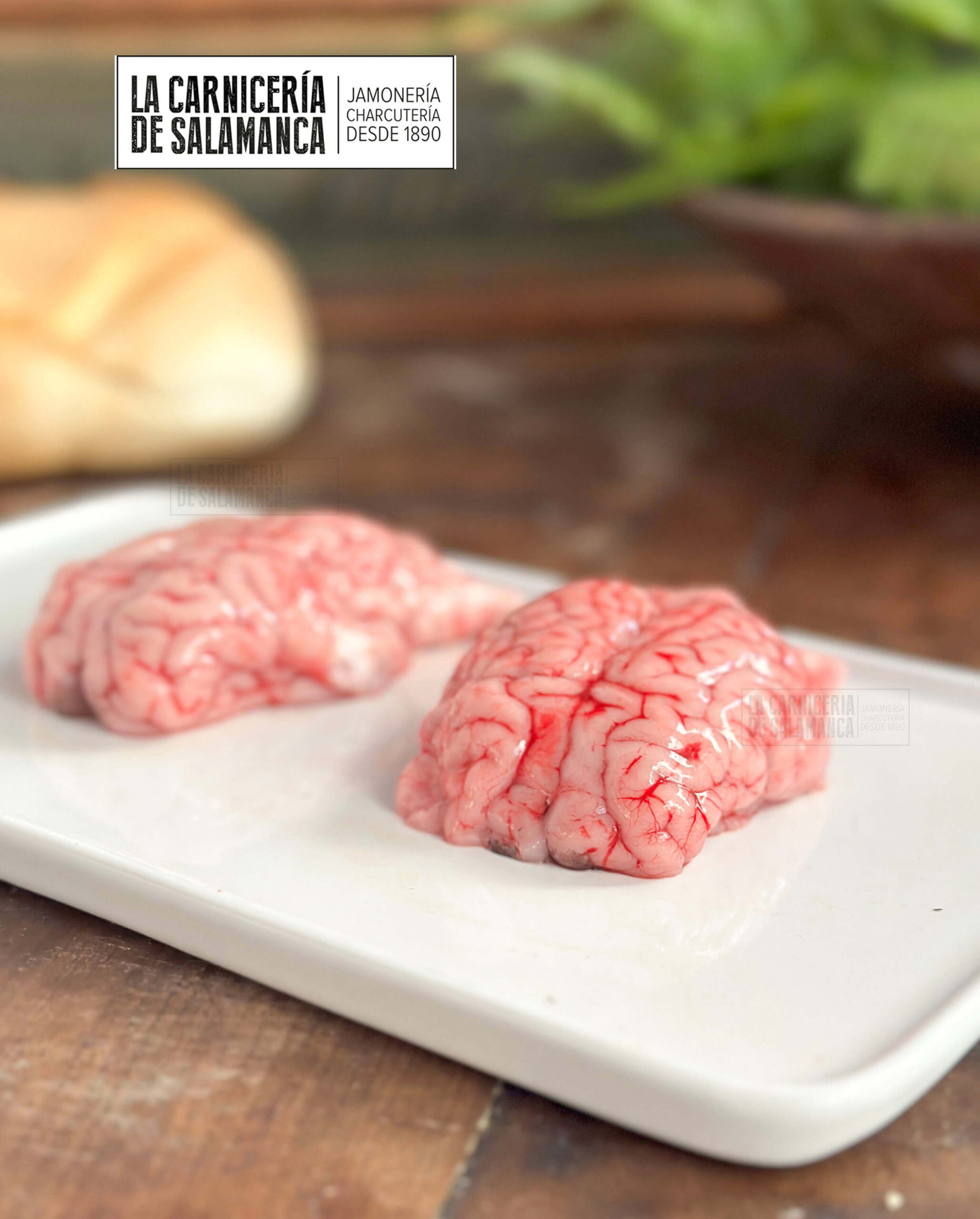 Sesos de cordero detalle, sesos de cordero lechal disponibles para comprar online