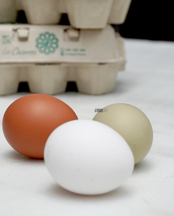 Detalle huevos camperos de pollita La Charrita en huevera abierta con huevo azul incluido, disponibles en La Carnicería de Salamanca.