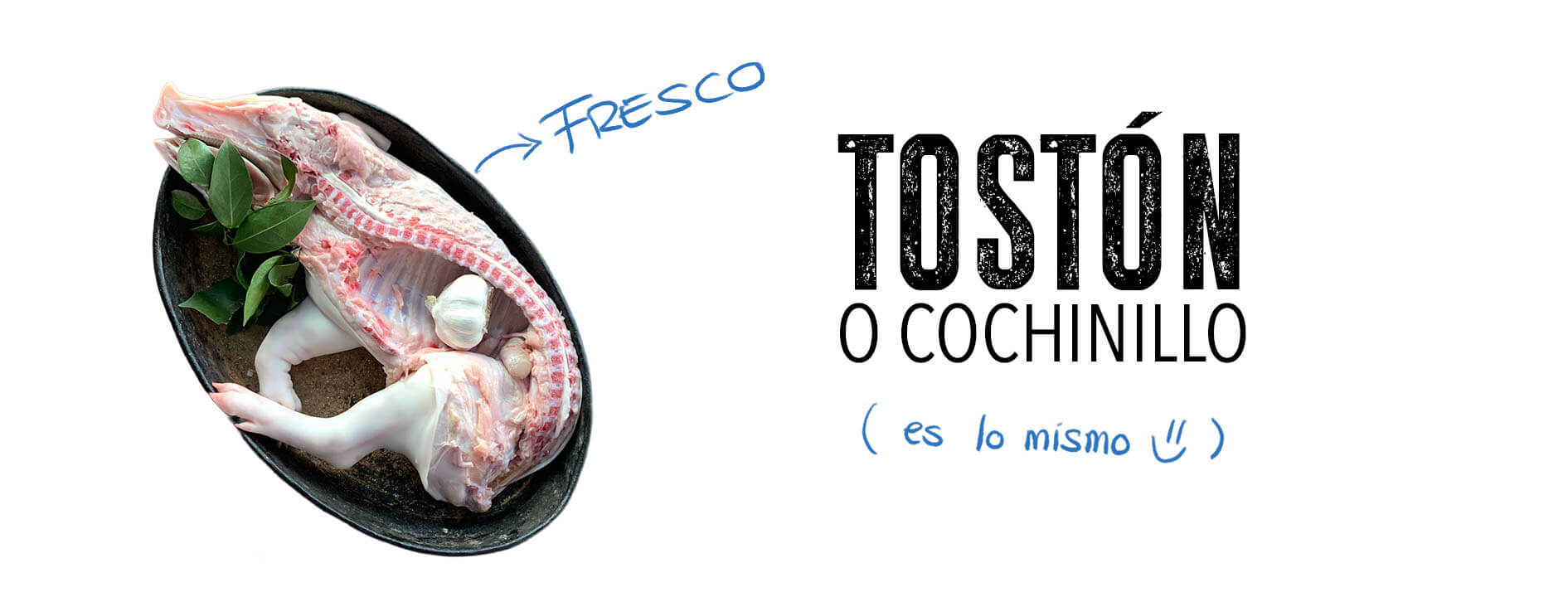 BANNER COCHINILLO-2